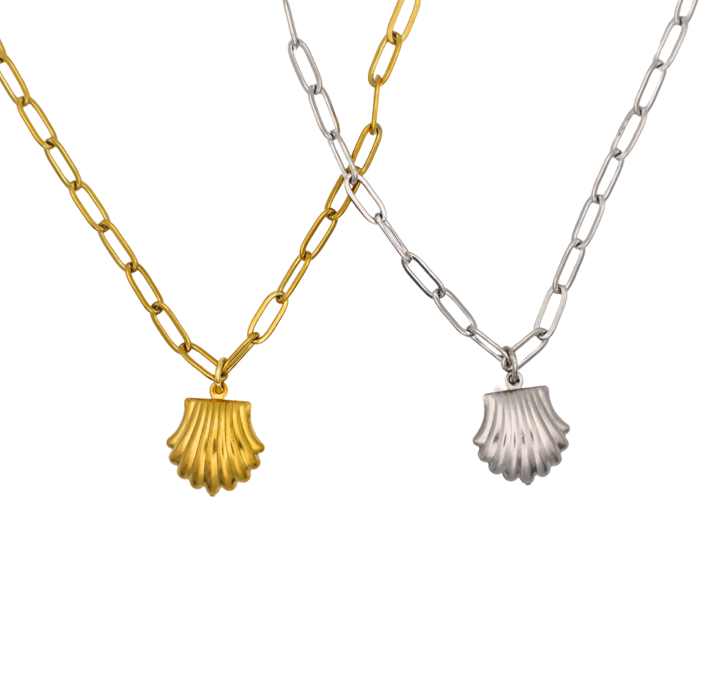 Seashell Necklace