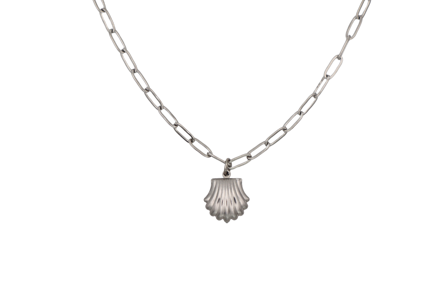 Seashell Necklace