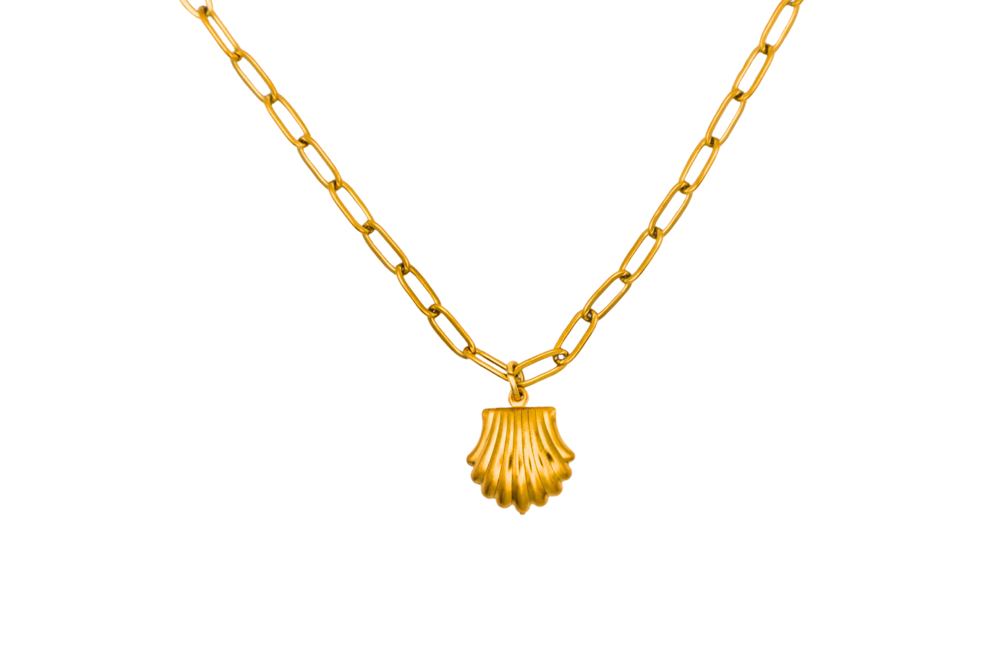 Seashell Necklace