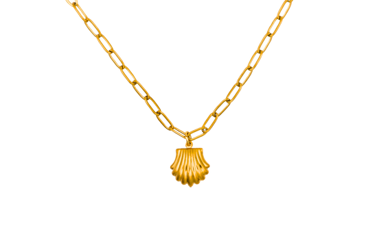 Seashell Necklace
