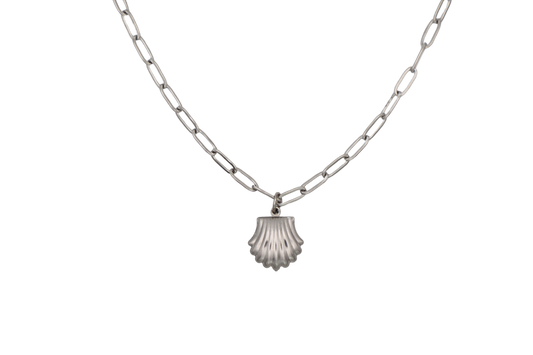 Seashell Necklace