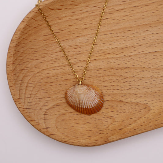 Shell Necklace